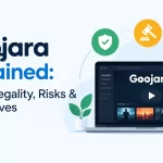 Goojara explained with safety, legality, risks, and streaming alternatives